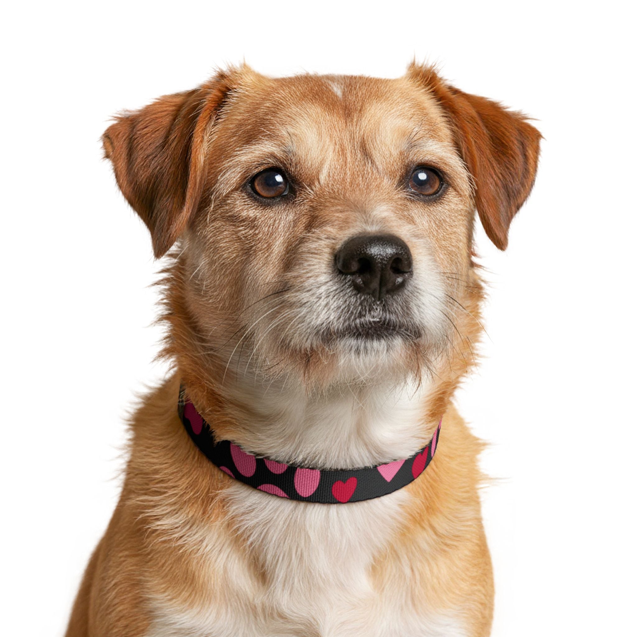 Heart Print Clip-On Pet Collar – Pink Valentine Dog Collar