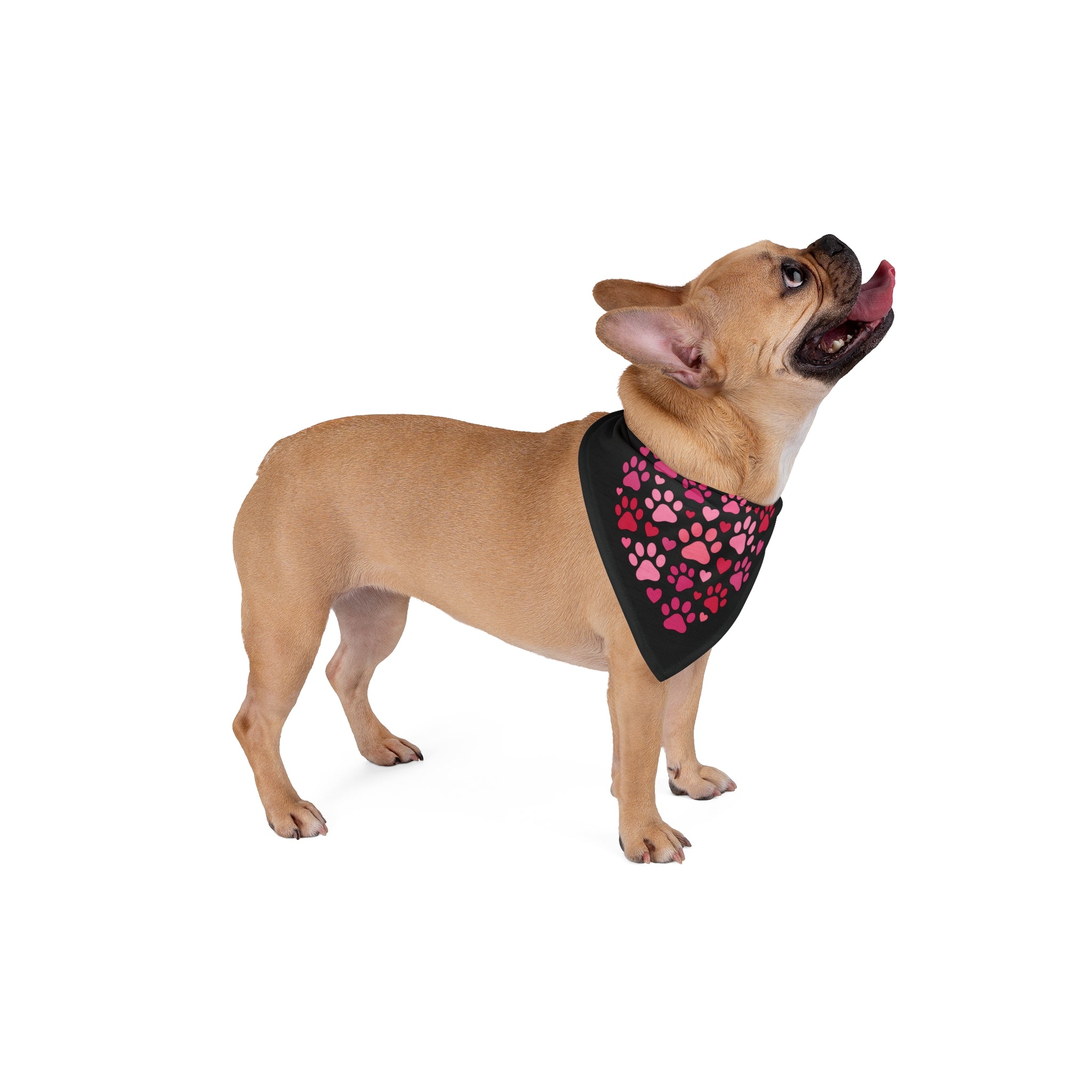 Heart Paw Print Pet Bandana — Pink Paw Heart Dog & Cat Scarf for Valentine’s Day