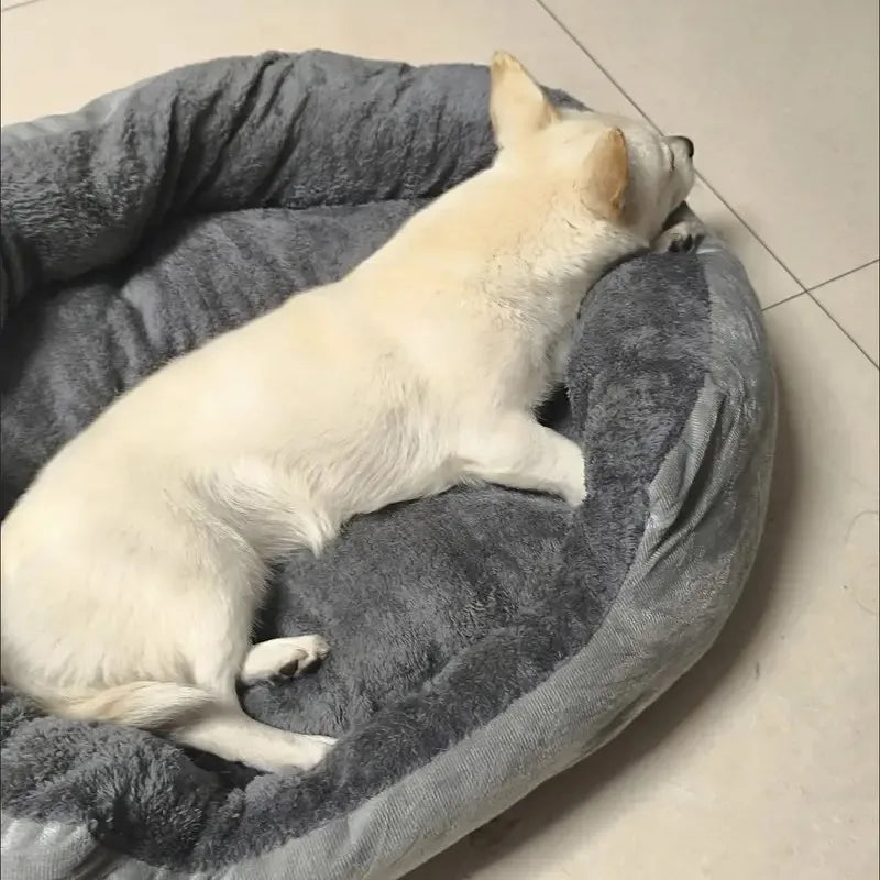 S08fcf707962c4cc19731f89bda23fc68r