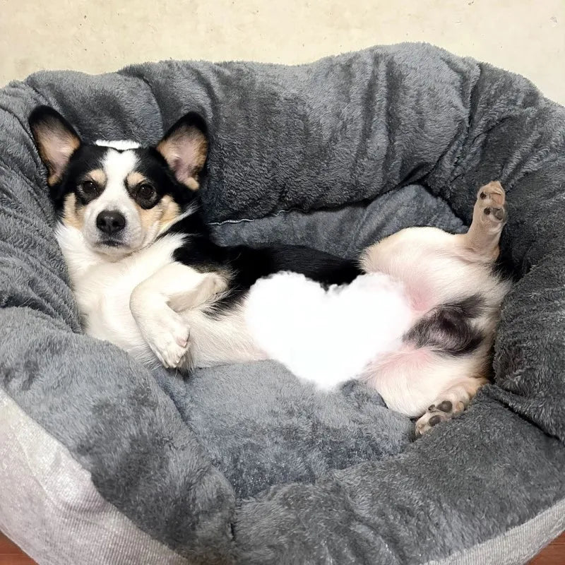 S2d9dcf03ab6e412c8727a440fa3e765b3